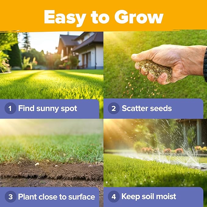 HOME GROWN Wildflower Seeds Bulk Mix | 47,400+ Non-GMO Perennial Flower Seed for Outdoor Planting | 19 Varieties for Attracting Birds & Butterflies | 3 oz