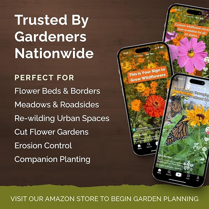 Eden Brothers Zinnia Seeds - Meteor Shower Mix, Non-GMO Seeds for Planting, Packet | Low-Maintenance Flower Seeds, Plant During Spring, Zones 3, 4, 5, 6, 7, 8, 9, 10