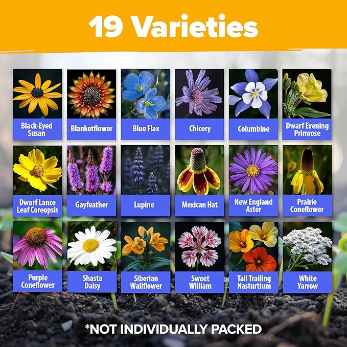 HOME GROWN Wildflower Seeds Bulk Mix | 63,200+ Non-GMO Perennial Flower Seed for Outdoor Planting | 19 Varieties to Attract Bees, Butterflies & Hummingbirds | 4 oz