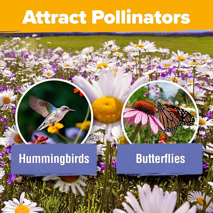 HOME GROWN Wildflower Seeds Bulk Mix | 47,400+ Non-GMO Perennial Flower Seed for Outdoor Planting | 19 Varieties for Attracting Birds & Butterflies | 3 oz