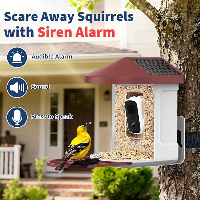 PeckCam® Bird Feeder with Camera with AI Identify 10000+ Birds Species, 3 Solar Panels, 2K Live View, Instant Arrival Alerts, Smart Bird House with Cam, Gift for Bird Lovers