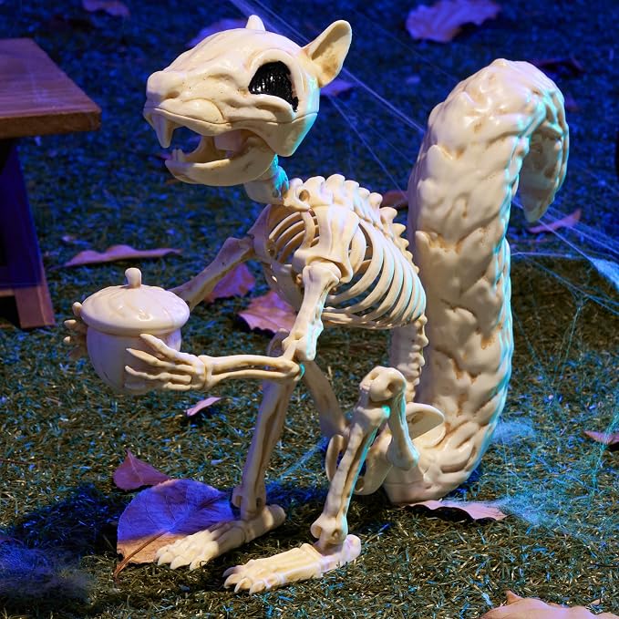 JOYIN Squirrel Skeleton Halloween Decoration 9.1 Inch Animal Posable Skeletons Movable Joints Plastic Bones with Pine Cones for Halloween Haunted House Decor Spooky Scene Garden Patio Party Prop