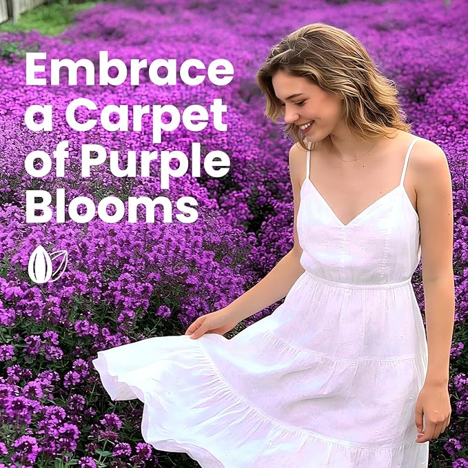20000+pcs Creeping Thyme Seeds for Planting, Perennial Ground Cover Plants Flowers Seeds Fragrant Herb Seeds for Lawns & Paths Garden