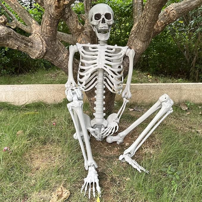 Wocst 5.4Ft/165cm Halloween Skeleton Full Body Life Size Human Bones with Movable Joints for Indoor Outdoor Halloween Props Decorations