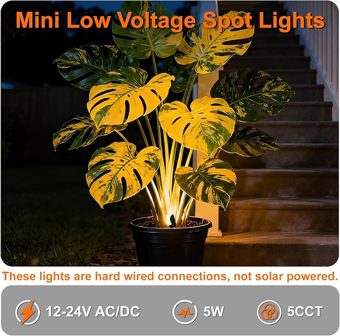 Mini LED Spot Lights Outdoor, 5W 12V Outdoor Bronze Low Voltage Landscape Spot Lights Wired for Tree House Yard Garden, 60° Beam Angle, 2200K/2700K/3000K/4000K /5000K, Aluminium, 6PK