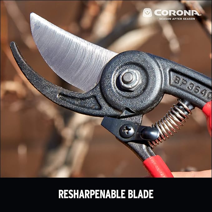 Corona BP 3640 Forged Steel ErgoACTION Angled Bypass Hand Pruner - 3/4 inch Cut Capacity Stem and Branch Garden Shears, Red (Pack of 6)