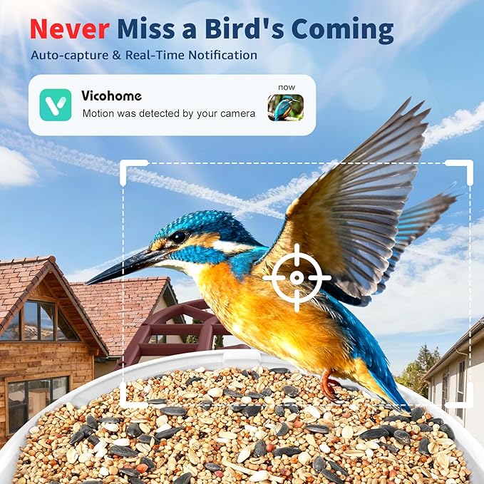 PeckCam® Bird Feeder with Camera with AI Identify 10000+ Birds Species, 3 Solar Panels, 2K Live View, Instant Arrival Alerts, Smart Bird House with Cam, Gift for Bird Lovers