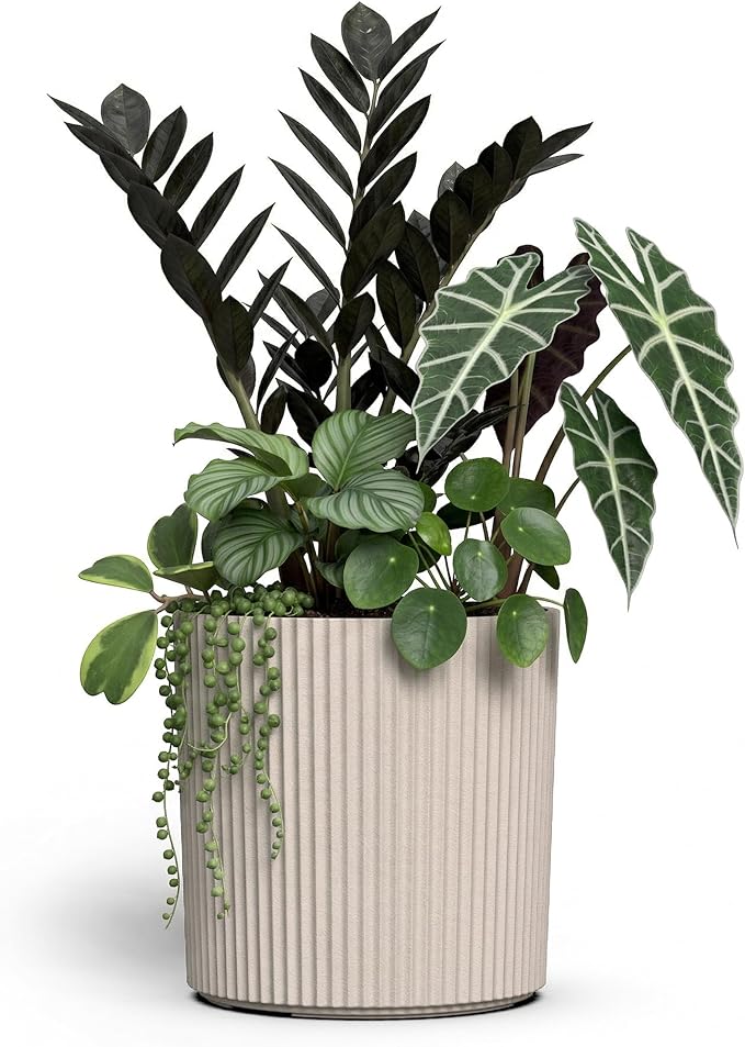 Mayne Haven 12-Inch Fluted Planter, Round Planters for Outdoor Plants, Lightweight Concrete Look Plant Pots for Porch, Patio, Garden and Entryway Décor, Chai