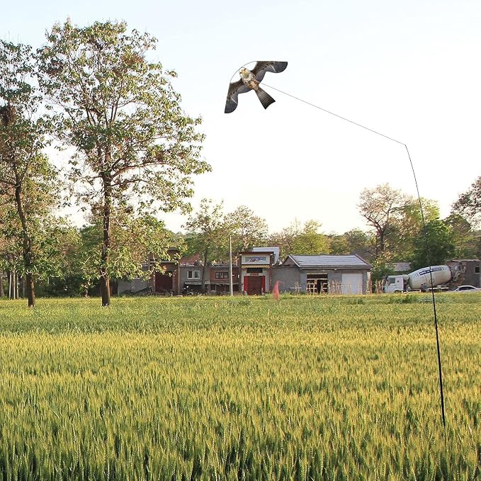Birds Scaring Hawk Flying Kite Professional Pigeon Scarer only Kite(Brown-Grey)
