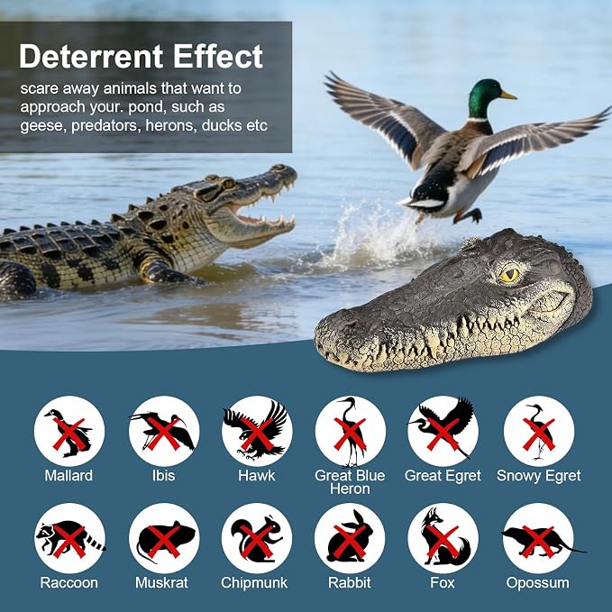 Floating Alligator Head, Fake Gator Head for Pool Outdoor Pond Accessories Float Crocodile Head Decoy for Koi Pond Pool Garden Decoration 13in x 5.5in x 2.8in