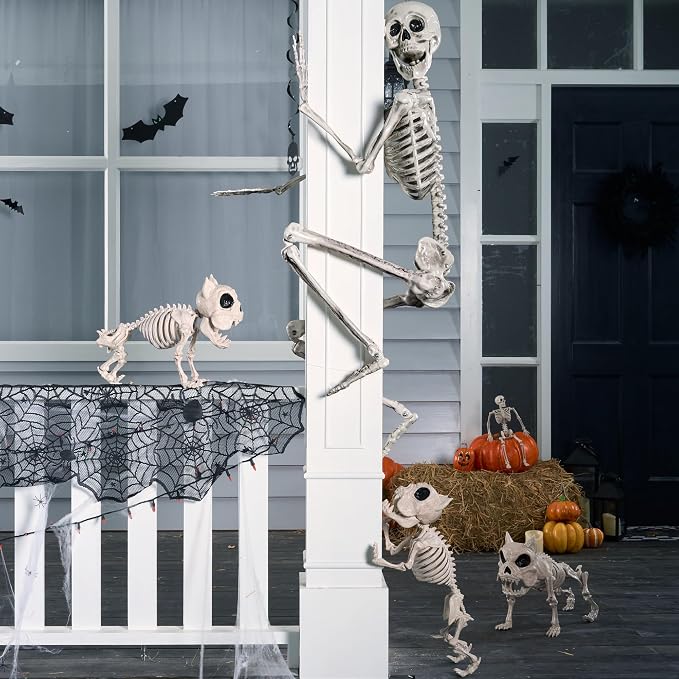 JOYIN 5.6 FT Halloween Posable Life Size Skeleton Full Body Realistic Bones with Movable Joints for Halloween Indoor and Outdoor Decoration Props Spooky Scene Party Decorations (White)