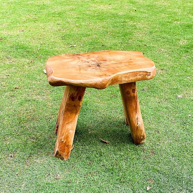 Brefhome Solid Cedar Tree Stump Stool, 12.2"H Small Outdoor Wood Side Table | One-of-a-kind, natural cedar wood, no assembly required, 200 lbs load capacity, waterproof coating, for outdoor & inside home