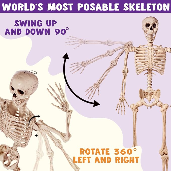 JOYIN 5.6 FT Halloween Posable Life Size Skeleton, Full Body Realistic Bones with Movable Joints, Giant Skeletons Halloween Decorations for Indoor Outdoor Haunted House Props, Spooky Scene Party Decor