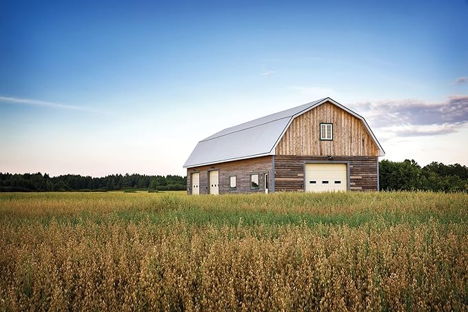 Lithonia Lighting BarnGuard LED Barn Light, Dusk to Dawn Outdoor Lighting, 4000K Cool White, Wall or Pole Mountable Yard Light Fixture, 120V, Aluminum, Dark Bronze