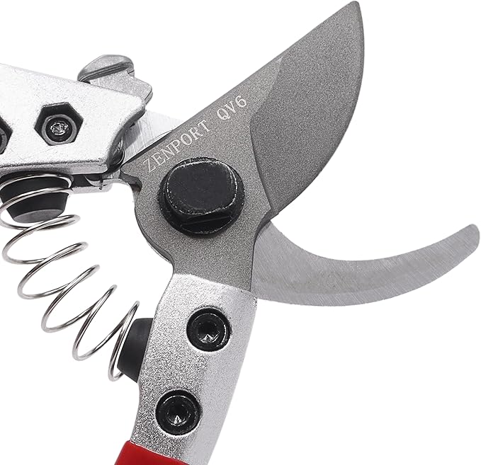 Zenport QV6-10PK Pruning Shear, 10, Red