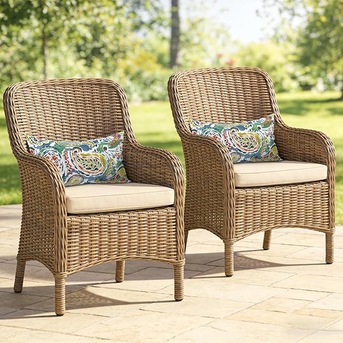 Outdoor Lumbar Pillows 12x20 Inch, Water Repellent Cushion Pillows, Outdoor Pillows with Inserts for Home Garden Pack of 2, Paradise Paisley
