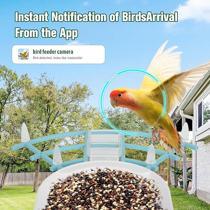 Bird Feeder with Camera, AI Identify Birds Species, Smart Bird Feeder with Camera Solar Powered, Auto 2K HD Video in Backyard, Instant Notifications, Ideal Gift for Family and Birds Lovers
