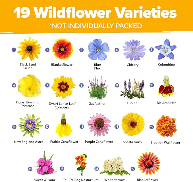 HOME GROWN Wildflower Seeds Bulk Mix | 47,400+ Non-GMO Perennial Flower Seed for Outdoor Planting | 19 Varieties for Attracting Birds & Butterflies | 3 oz
