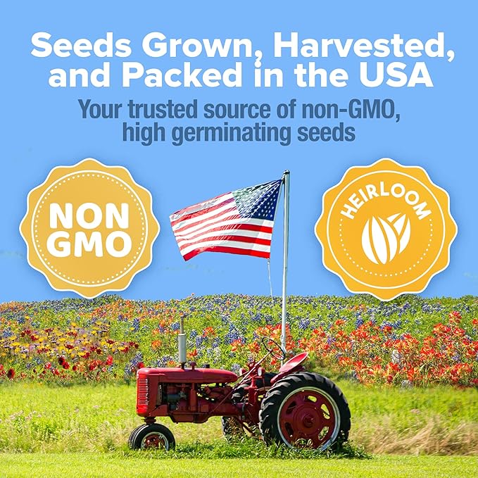 HOME GROWN Wildflower Seed Mix – 89,000+ Pure USA Flowers | No Filler Bulk Supply for Outdoor Planting | 19 Perennial & Annual Varieties | Butterfly Garden | 3 oz