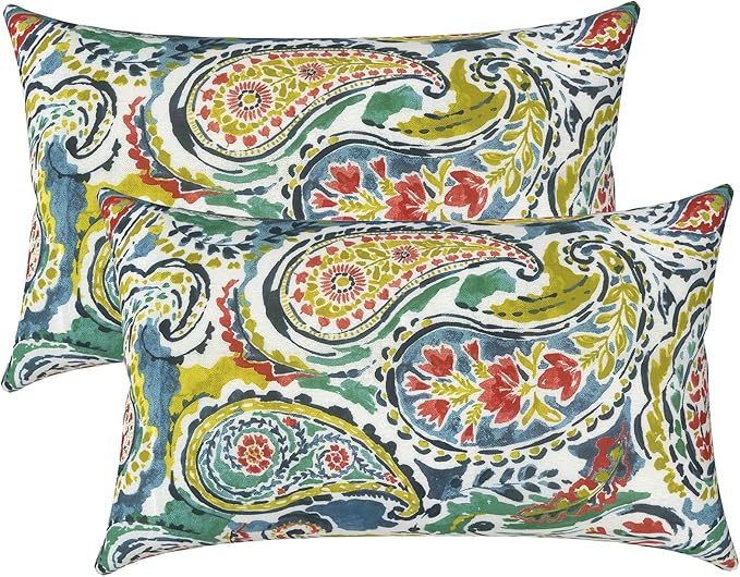 LVTLVTXIII 12×20 Inch Outdoor Lumbar Pillows, Pack of 2 Water Repellent Lumbar Pillow with Inserts, Fluffy Decorative Garden Lumbar Cushions for Home Patio Coach Sofa Use, Paradise Paisley