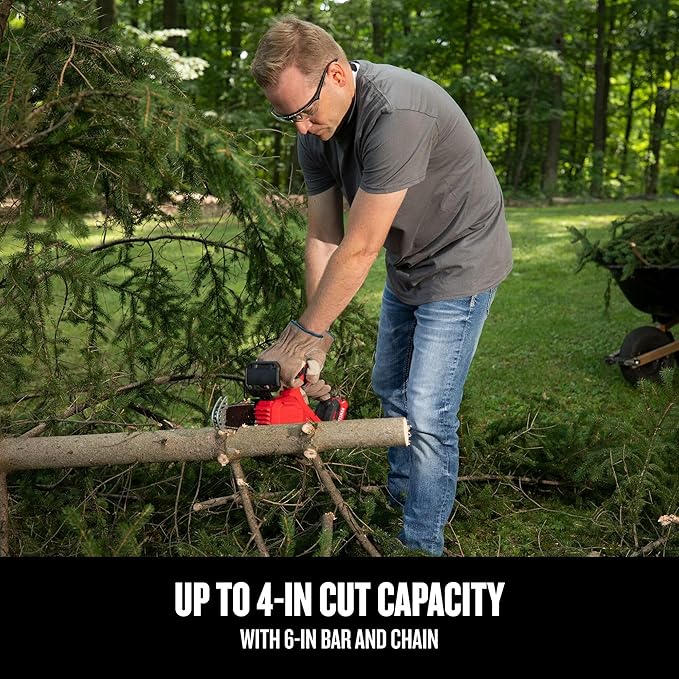 CRAFTSMAN V20 Mini Cordless Chainsaw, Pruning Saw, 6" Chain, Small Handheld Chainsaw, 2Ah Battery and Charger Included, Tree Trimming and Pruning, Compact and Lightweight (CMCCS320D1)