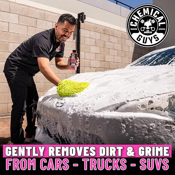 Craftsman Electric Pressure Washer (CMEPW1900) and Chemical Guys Mr. Pink Foaming Car Wash Soap (128 fl oz)