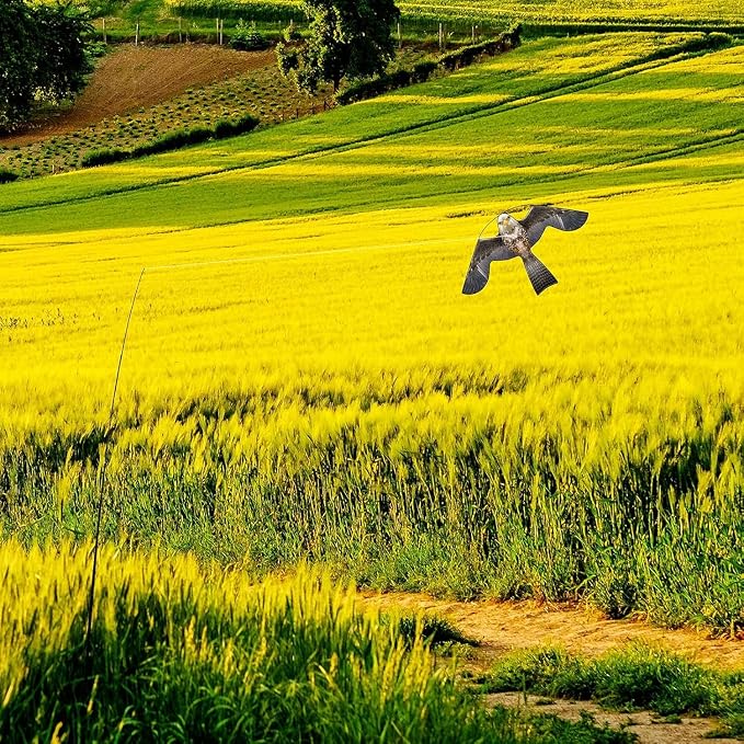 Bird Hawk Flying Kite with Pole Crop Protector Bird Scare Flying Kite with 4m Pole Has The Effect of Scaring Birds