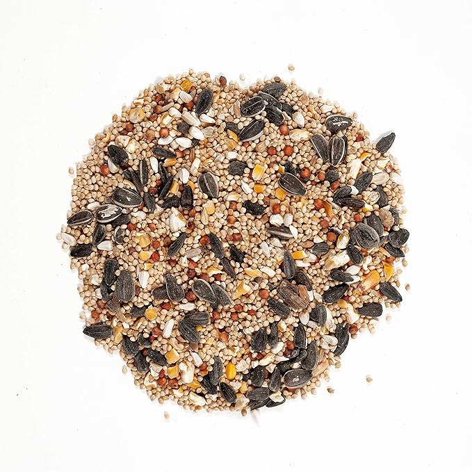 Wagner's 62011 Eastern Regional Blend Wild Bird Food, 8-Pound Bag (Pack of 2)