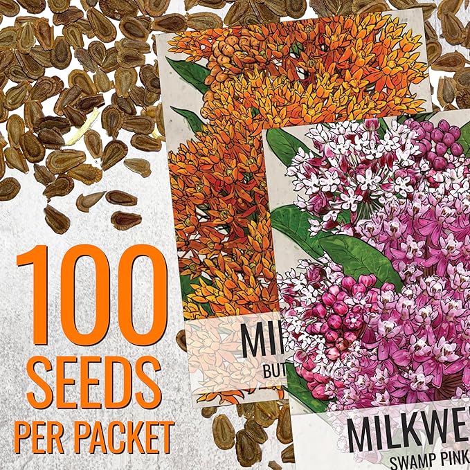 Seed Needs Milkweed Seeds for Planting Butterfly Orange/Swamp Pink Asclepias Flowers - Heirloom Wildflowers to Attract Monarch Butterflies to a Butterfly Garden (2 Pack Duo)