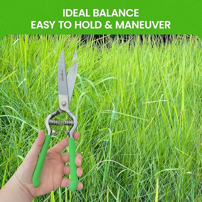 GARDEN GURU Hand Grass Clipper Scissors – Classic Forged Steel Grass Shears Pruners – Comfort Grip Handles – Perfect for Hand Edging Lawn, Trimming Shrubs & Flowers, Gardening, Landscaping