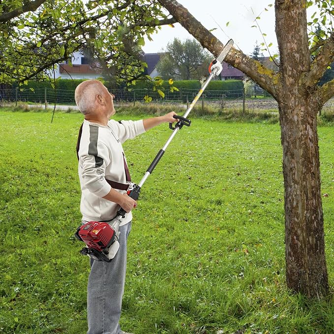 43CC 4 Stroke Pole Saw Powerful Gas Pole Chainsaw Telescopic Tree Pole Pruner,Fitted with 12-inch Chain Rail,Used For Wood Cutting, Sawing High Altitude Branches, Garden Pruning