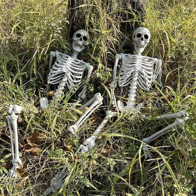 Wocst 5.4Ft/165cm Halloween Skeleton Full Body Life Size Human Bones with Movable Joints for Indoor Outdoor Halloween Props Decorations