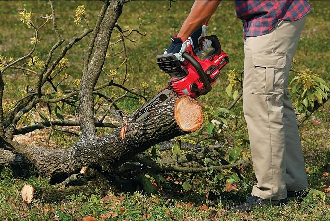 CRAFTSMAN V20 Mini Chainsaw, Cordless, 12 inch, Bare Tool Only (CMCCS620B)