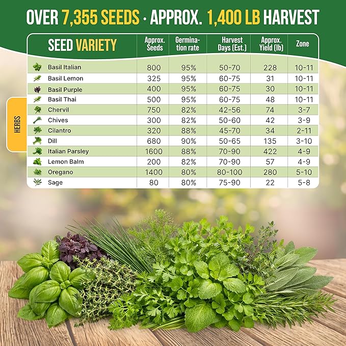 Organo Republic 12 Culinary Herbs Seeds Variety Pack - 7,355+ Heirloom, Non-GMO, Herbs Seeds for Outdoor and Indoor Home Gardening, Including Basil, Cilantro, Chives, Dill, Parsley, Sage
