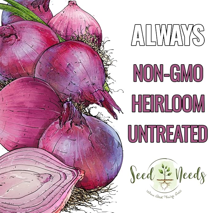 Seed Needs Onion Seeds for Planting Red Burgundy Short Day Onions - Non-GMO Heirloom & Untreated Vegetable Seeds to Plant an Outdoor Home Grown Veggie Garden (1 Pack)
