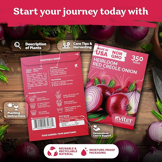 KVITER 350 Red Creole Onion Seeds (Allium Cepa) - Cebolla Roja, Short Day Kitchen Onion for Fresh Cooking, Heirloom Seed Packets- Vegetable Seeds for Outdoor Vegetable Garden, Containers, Greenhouses