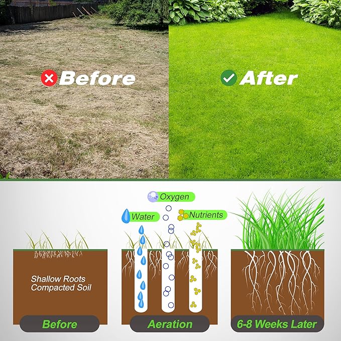 Walensee Lawn Aerator Coring Tool with Soil Core Storage Tray, 38.2" Manual Yard Plug Aerator with 3 Tines, Grass Aeration Gardening Tool with Cleaning Tool for Lawn Care and Compacted Soil