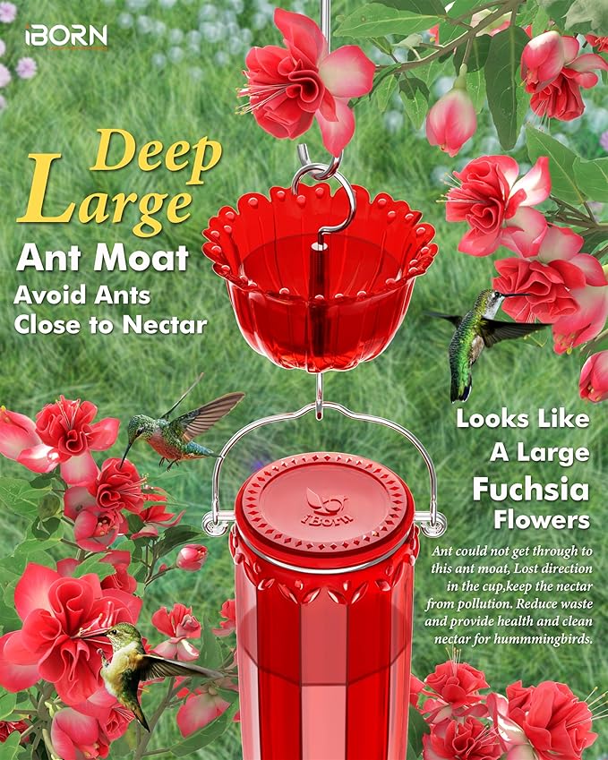 iBorn Glass Hummingbird Feeder for Outdoors Hanging Ant and Bee Proof Ant Moat for Hummingbird Feeder 8 Ports for 16oz Hummingbird Nectar,Brushed Copper Base Red Glass, Pack of 1, 2024 New