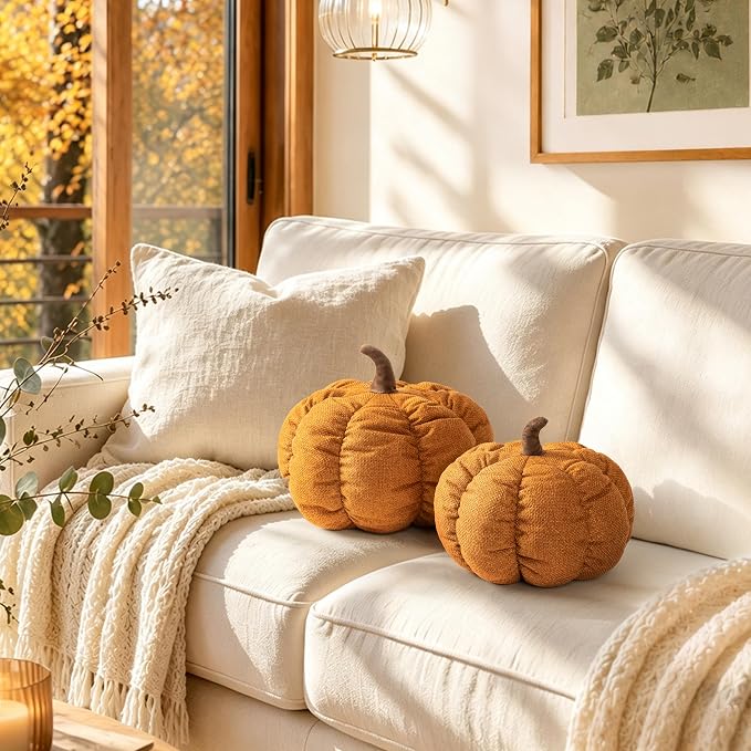 AELS Pumpkin Throw Pillows Set of 2, 14" & 10" Burnt Orange Fall Pillows | for Couch Sofa Bed Living Room Home Decor, Farmhouse Textured 3D Fall Halloween Thanksgiving Decorative Accent Pillows