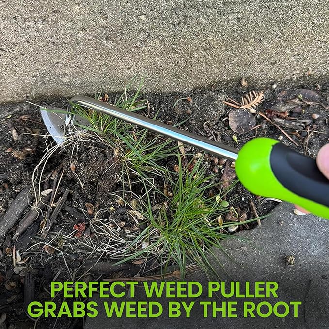 Garden Guru Root Weeder Tool with Ergonomic Handle - Stainless Steel Weed Puller for Planting, Weeding, Flower and Vegetable Care in Lawn Garden Yard | Rust Resistant (4 Pack)