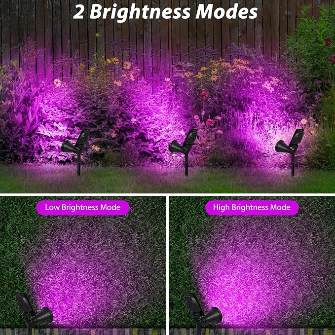 T-SUN [2 Pack] LED Solar Spotlights, Waterproof Outdoor Security Landscape Lamps, Auto-on/Auto-Off by Day, 180 Angle Adjustable for Tree, Patio, Yard, Garden, Driveway, Stairs, Pool Area(Purple) | 4 LEDs, 2 Lighting Modes, IP65 Waterproof Dusk to Dawn ...