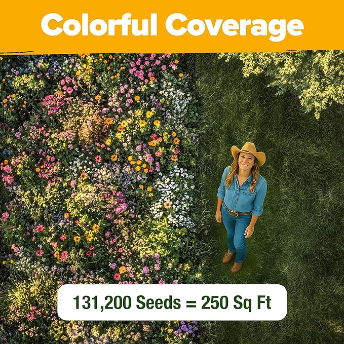 HOME GROWN Texas Wildflower Seeds Bulk Mix | 131,200+ Pure USA Grown Perennial Flower Seed for Planting | 22 Varieties for Birds & Butterflies Garden | 3 oz