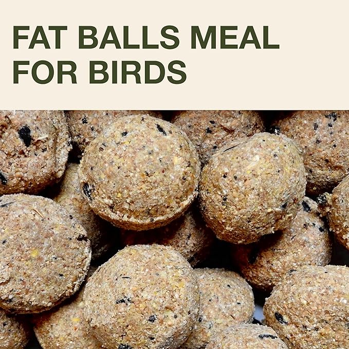 SWISSINNO Bird Feeders - No Mess Fat Ball/Suet Feeder for Outdoors Hanging - Smart Birds Lucerne Spill Proof Wild Cardinal Bird Feeder with Integrated Seed Catcher Tray - Light Blue