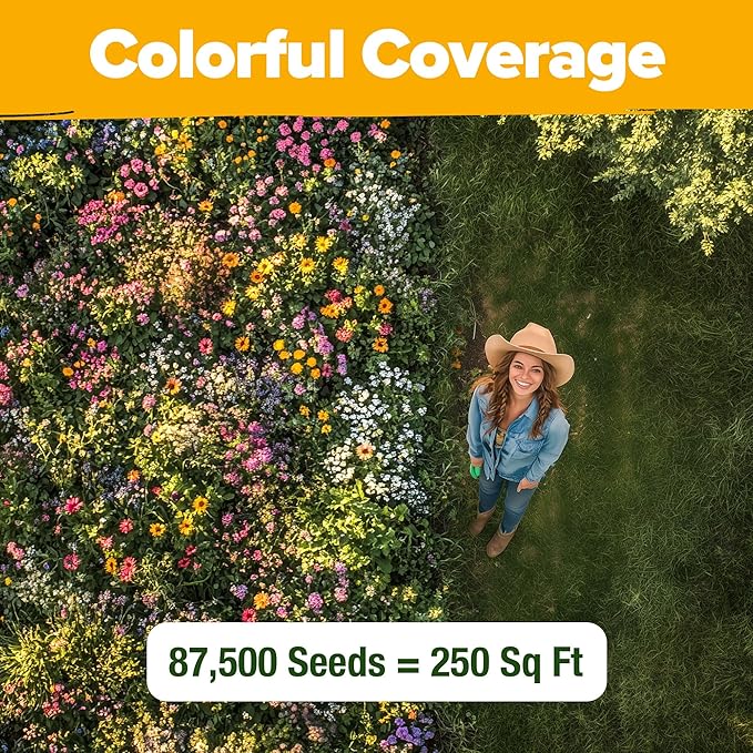 HOME GROWN Texas Wildflower Seeds Bulk Mix | 87,500+ Non-GMO Perennial Flower Seed for Attracting Bees, Birds & Butterflies | 22 Varieties for Full Sun & Shade Gardens | 2 oz