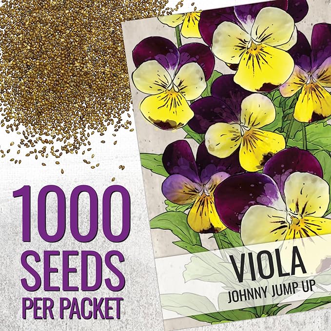Seed Needs Johnny Jump Up Seeds for Planting Violas - Heirloom & Open Pollinated Flowers to Plant a Butterfly Garden Filled with Edible Blooms for Garnishing (1 Pack)