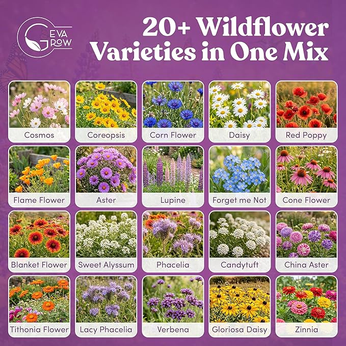 Bulk Wildflower Seed - Bird & Butterfly Garden Seed Mix | Bulk 300,000+ Annual & Perennial Flower Seeds for Planting - Attracts Hummingbirds & Butterfly | No Messy Bags or Packets | Bulk 1 Pound Jar