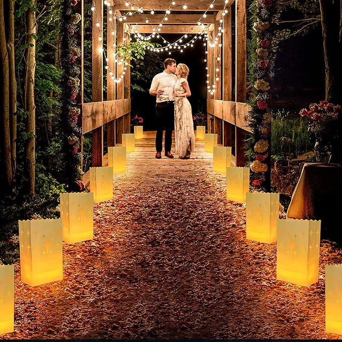AceList 30 PCS Luminary Bags with 30 PCS Flameless Candles Flickering Tea Lights Candles Battery Operated LED Tea Lights for Wedding Party Valentine's Day, Christmas Decoration - Meteor