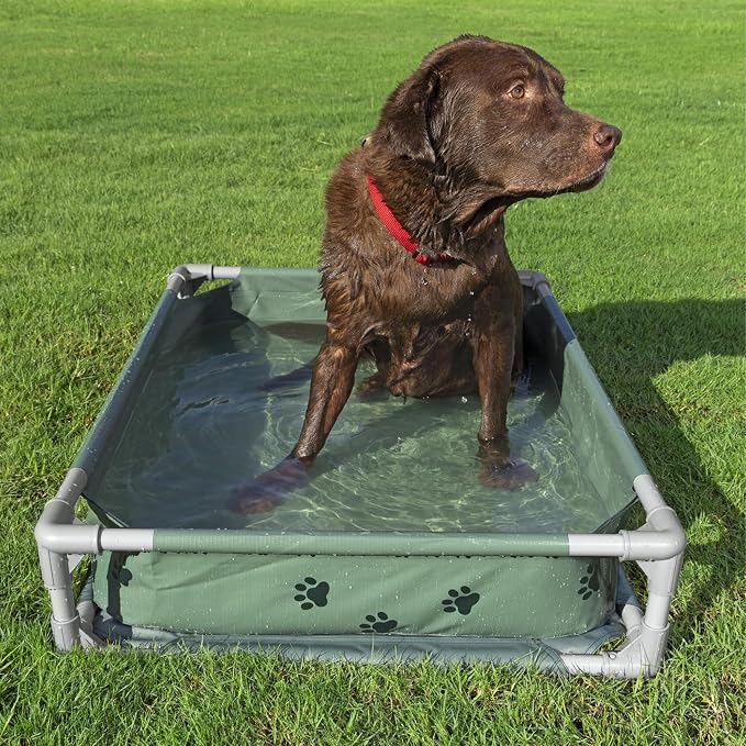 H2OGO! Pet Play Pool & Elevated Bed, Fetchin' Fun 2-in-1 Metal Frame Pool and Raised Mesh Bed for Small, Medium, and Large Dogs up to 99 lbs