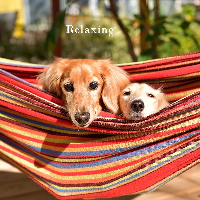 Double Brazilian Hammock with Stand Included - Woven Cotton, 2-Person, Outdoor Swing with Frame for Camping, Backyard, or Patio by Pure Garden