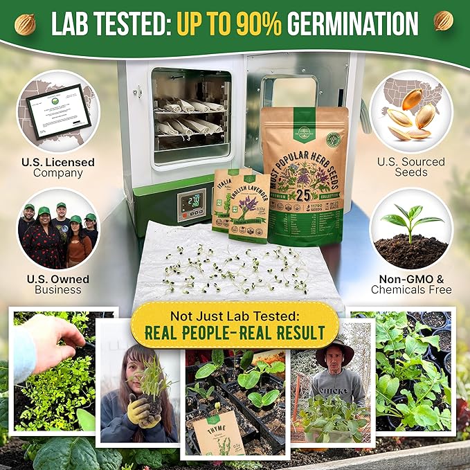 25 Most Popular Herb Seeds Variety Pack - 11,700 Non-GMO Heirloom Seeds for Planting Herbs in Individual Seed Packets for Hydroponic, Indoor & Outdoor Gardening - 2026 Season: Catnip, Dill, Thyme